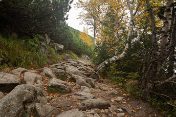 High Tatra, Slovakia