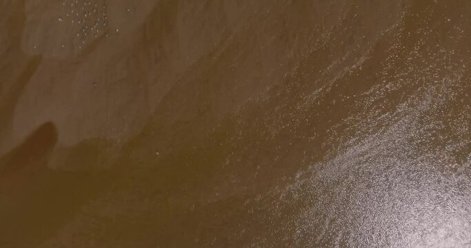 aves en rio, pajaros en agua dulce