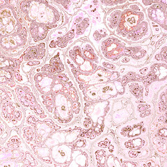 Abstract Marble texture. Fractal digital Art Background. High Resolution. Can be used for background or wallpaper