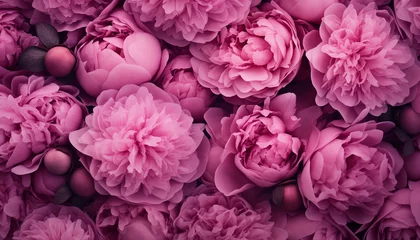 Gordijnen Close up on dark pink peonies background © PixelWitch