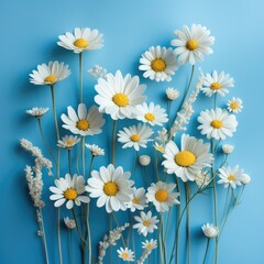 a row of daisies, sprigs and herbs on a blue background