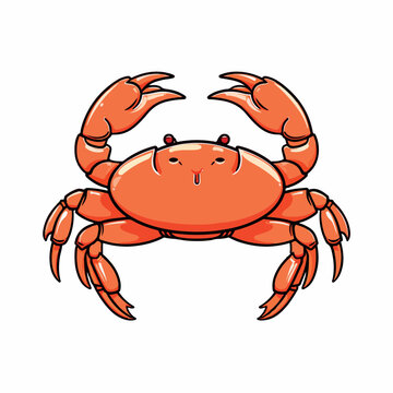 recommend clip art: crab flat vector illustration. crab hand drawing isolated vector illustration