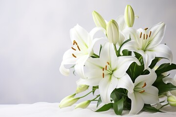 Beautiful white lillies on light background.