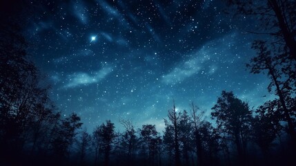Fototapeta na wymiar Night sky with stars and silhouette of trees in forest.