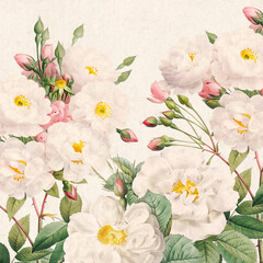 Rose Flowers: Digital floral watercolor on a textured rustic beige background.