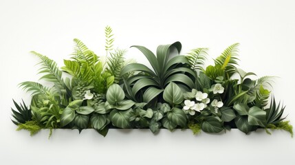 Fototapeta premium green plant arrangement on white background