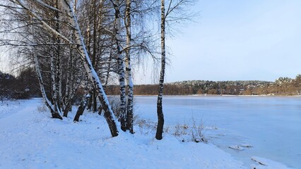 In winter, the lake is covered with ice. Along the shore there are birch trees and a path with footprints in the snow. On the opposite snow-covered shore are buildings and forest. It is frosty