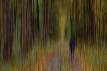 Leśne abstrakcje