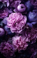 peonies in a dark setting with a colorful background