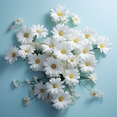 white daisies in the shape of a cross, white frame background on pale blue