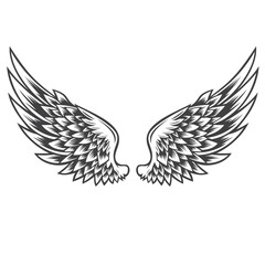 wings vector art illustration design