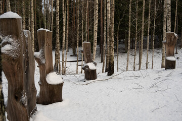 Winter's Zodiac Lounge: Engraved Wooden Chairs Amidst Snow-Clad Birches in Latvija's Forest