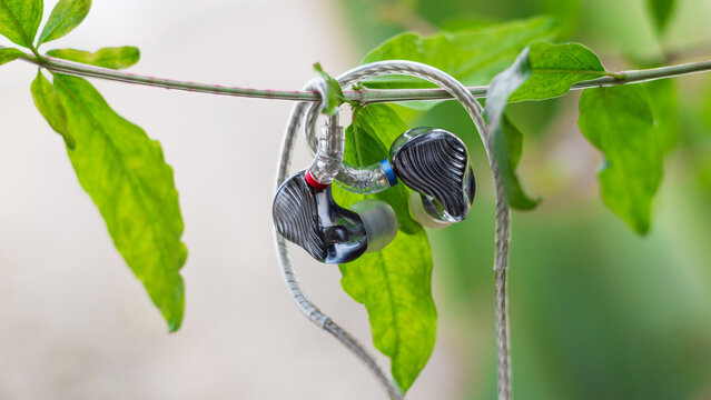 Blue 3d-printed IEMs on a tree
