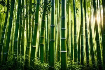Gordijnen bamboo forest background © Jahaan Skindar arts