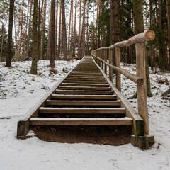 Forest Climb: Wooden Steps Ascending Tervetes' Snowy Hills