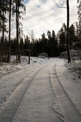 Marked Passages: Tire Tracks Along Sunlit Snow-Covered Roads. Pokainu Mezs, Latvija