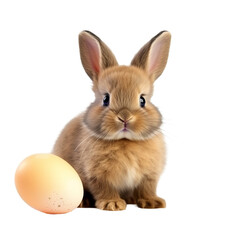 Obraz premium Happy cute easter bunny isolated on white