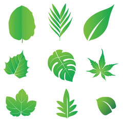 et of green leaf vector design element, leaf, nature, plant, tree, vector, green, spring, icon, set, leaves, illustration, design, environment, branch, ecology, natural, eco, floral, summer, logo