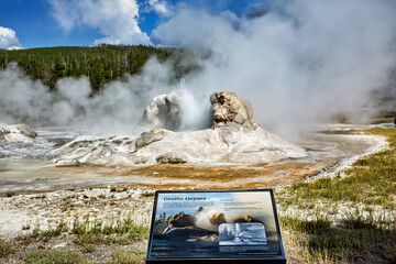 Yellowstone National Park. Wyoming. USA