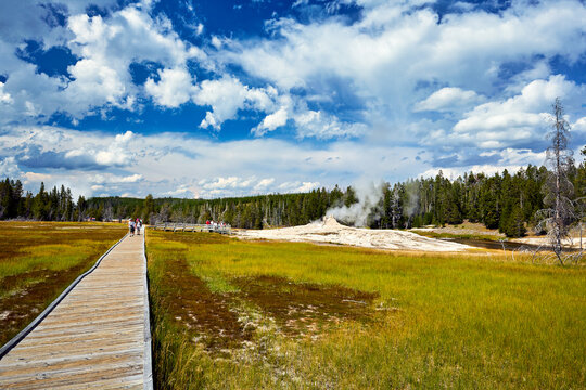 Yellowstone National Park. Wyoming. USA © Marco