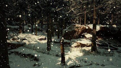 A snow covered forest filled with lots of trees