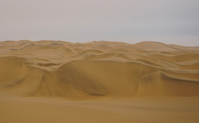 Fototapeta na wymiar Sand dunes in Namib Desert on cloudy day 