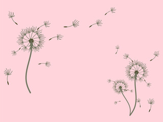 Abstract background dandelion design for decoration design.