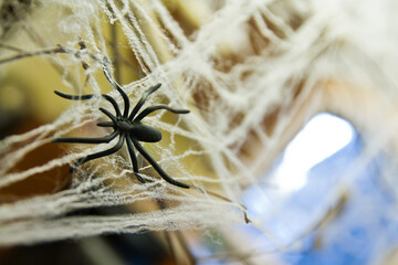Fake Spider Entangled in Synthetic Cobwebs for Halloween Decor Close-Up