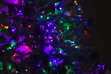 abstract christmas background blured