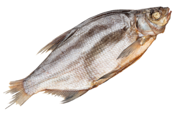 Fish. Dried or Dry seafood snack for beer. Salted sun-dried, jerked or smoked fish. Taranka, vobla. Russian or Ukrainian food. Caspian roach fish. Dead fish. High resolution. Isolated background