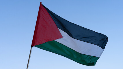waving the Palestinian flag as a gesture of solidarity during a protest to express support for the...