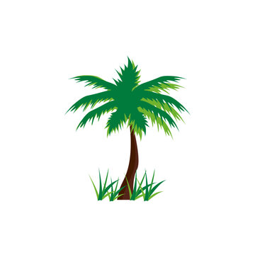 Palm Tree Illustration with Grass
