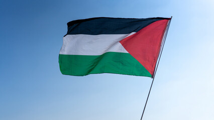 waving the Palestinian flag as a gesture of solidarity during a protest to express support for the...