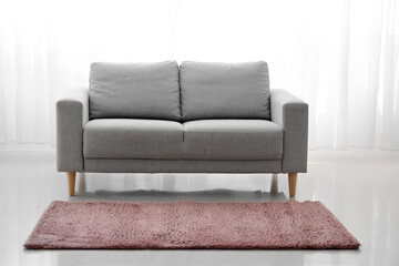 Stylish carpet and sofa in living room