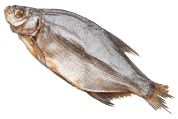 Fish. Dried or Dry seafood snack for beer. Salted sun-dried, jerked or smoked fish. Taranka, vobla. Russian or Ukrainian food. Caspian roach fish. Dead fish. High resolution. Isolated background