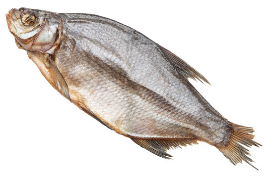 Fish. Dried or Dry seafood snack for beer. Salted sun-dried, jerked or smoked fish. Taranka, vobla. Russian or Ukrainian food. Caspian roach fish. Dead fish. High resolution. Isolated background