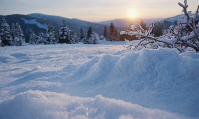 snow-covered landscape at sunset. Warm glow on ground and trees.