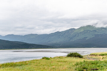 Grass Field Meadow Along Turnagain Arm and Chugach Forest in Alaska