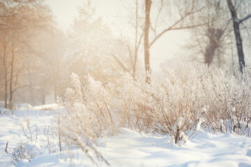 Krajobraz zimowy, mglisty świt