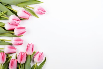 Obraz premium Pink tulips on white background with copy space