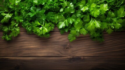 A wooden background with fresh parsley and ample room for your text in the upper part of the image.