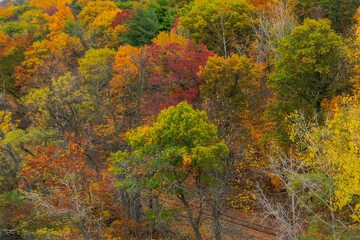 Fototapeta premium Closeup aerial image of colorful fall foliage looking down