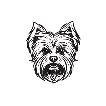 Yorkshire Terrier in cartoon, doodle style. Isolated 2d vector illustration in logo, icon, sketch style, Eps 10, black and white. AI Generative