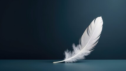 A delicate white feather against a dark blue background, symbolizing lightness
