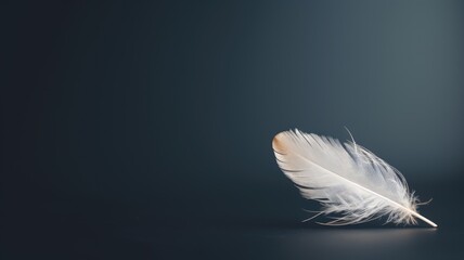 A single delicate feather on a dark gradient background, symbolizing lightness and purity