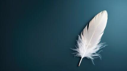 A single white feather against a gradient dark background symbolizing lightness