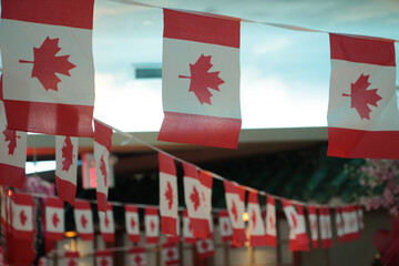 a lot bunch of small mini miniature canadian paper flags hanging from ceiling under skylight