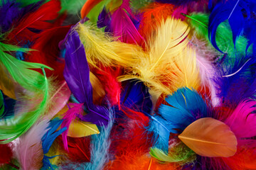 Colorful feathers as a background. 