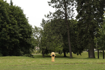 yellow isolated fire hydrant in middle of grass field with trees and sky in background - wide shot - Powered by Adobe