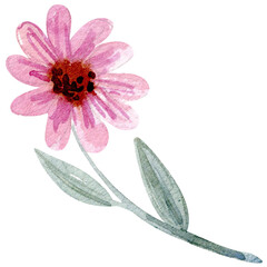 Watercolor illuustration of flower sketch